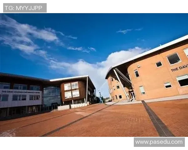 独家解析上海网球队比赛经验的差异与影响因素分析